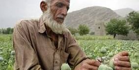 آقایان حبیب الله قادری و جنرال!! داود لطفاً مستعفی شوید!!