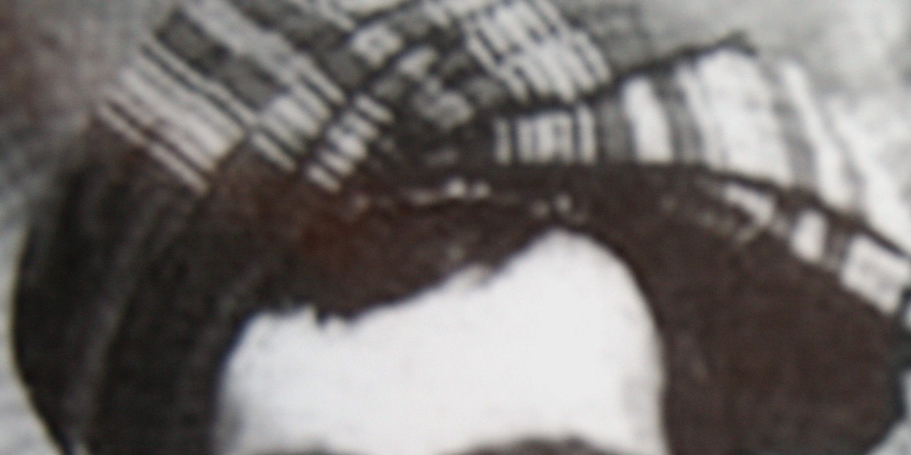 طالبان پس از ملاعمر و حکومت وحدت ملی به کجا خواهند رسید؟