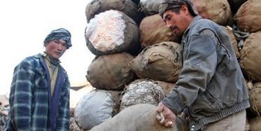 قربان علی و برادرش بوجی های ذغال را برای فروش ذخيره می کنند