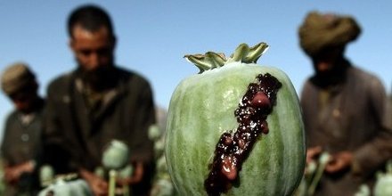 " جنگ تریاک " سازمان ملل