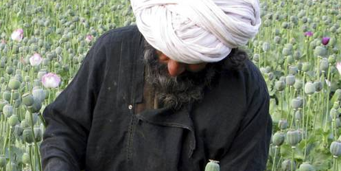 بسیاری از پشتون های اطرافی با پول مواد مخدر کابلی شده اند!