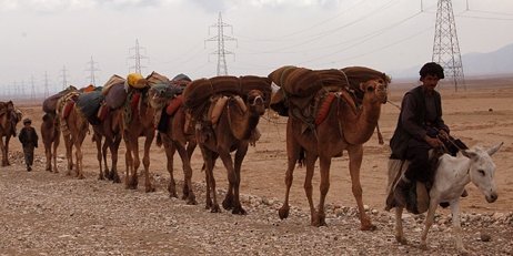 کوچی ها در حال سفر در ولايت بلخ