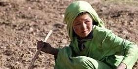 کودک و کار در مزرعه