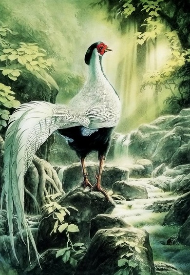 local/cache-vignettes/L390xH563/hASK1-0e14b1ae-72228.jpg?1748130702