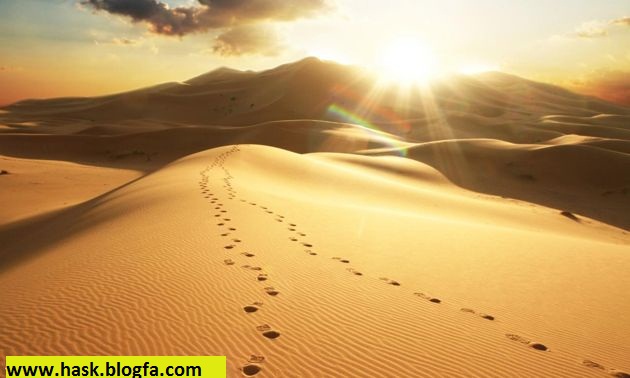 local/cache-vignettes/L630xH378/hask-blogfa-3ac8c12c-a33f3.jpg?1748130342