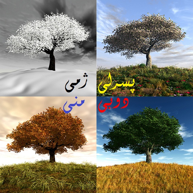 local/cache-vignettes/L648xH648/D987D8B3DAA9-D98-2b77fd0f-0a7ca.jpg?1748130755